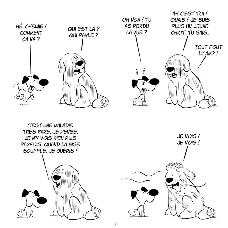 BonChien-02-3_800x799.jpg