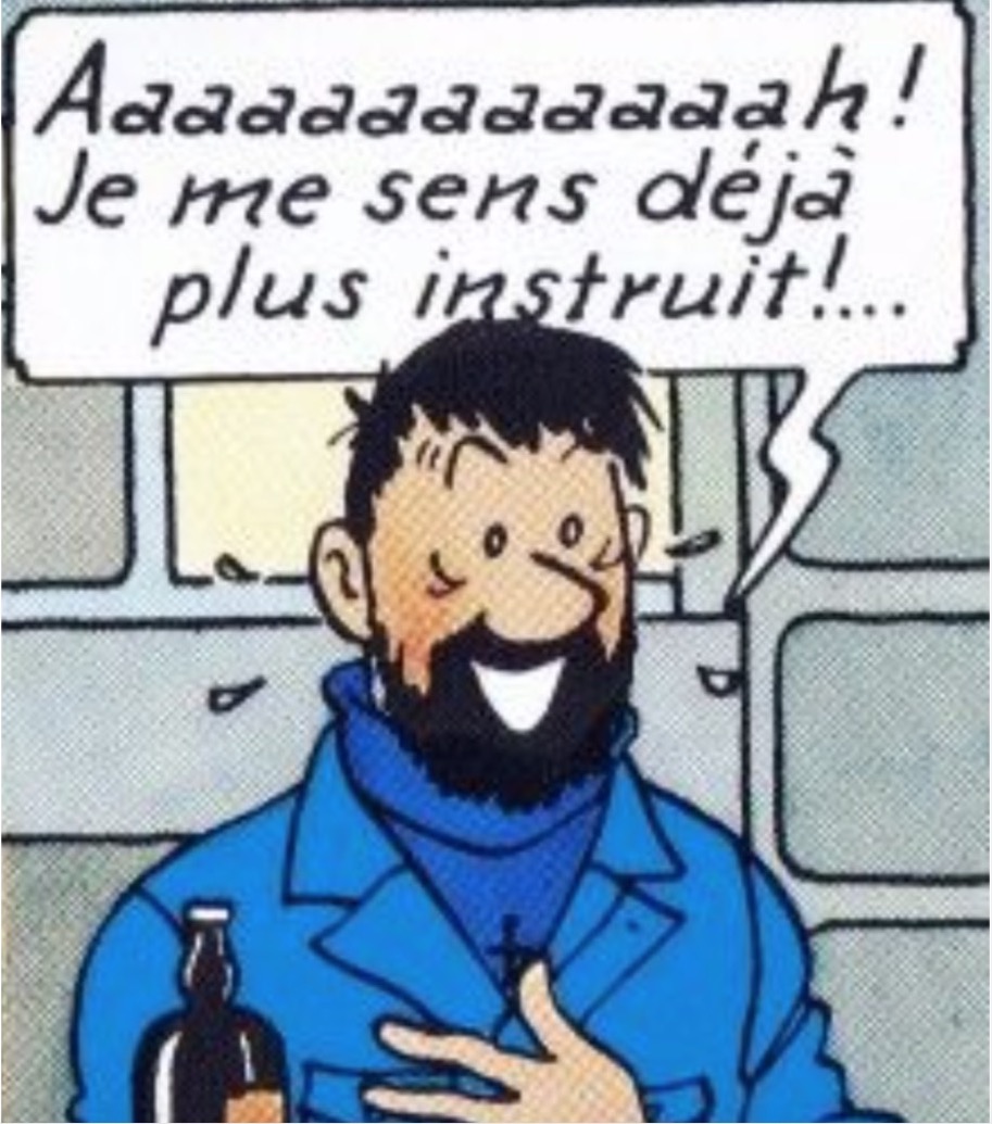 WTF-Tintin-4.jpg